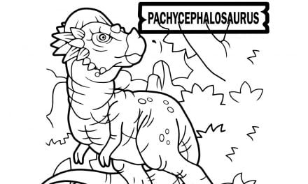Ausmalbilder: Kleiner Pachycephalosaurus