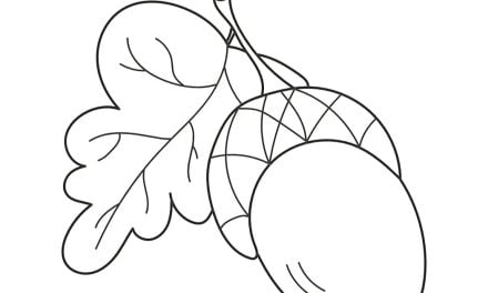  Foto zu Kostenlose Ausmalbilder: Kastanie online und zum ausdrucken für Kinder, 