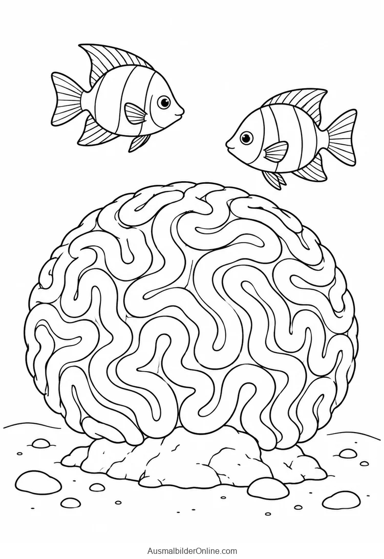 Zwei Riff-Fische neben einer großen rundlichen Hirnkoralle auf einem Felsen