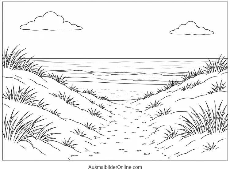 Ein sandiger Weg führt zwischen niedrigen Dünen mit Strandhafer zum ruhigen Meer