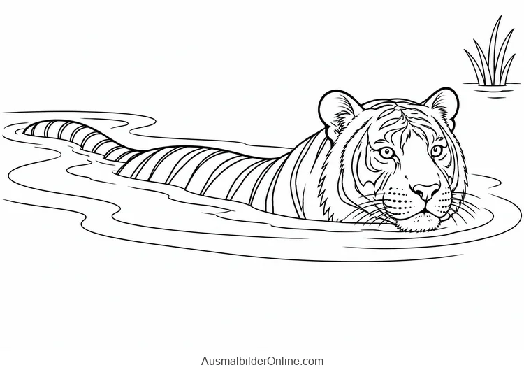 Tiger schwimmt mit Kopf, Rücken und einem Teil des Schwanzes über Wasser