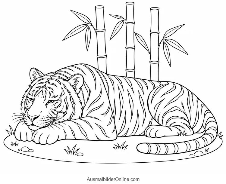 Tiger ruht mit dem Kopf auf zwei Vorderpfoten vor drei Bambushalmen