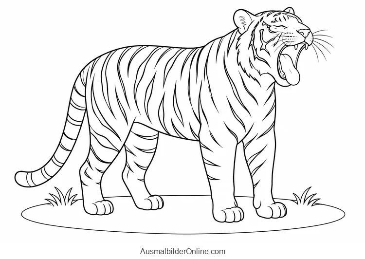 Stehender Tiger gähnt mit geschlossenen Augen und geöffnetem Maul