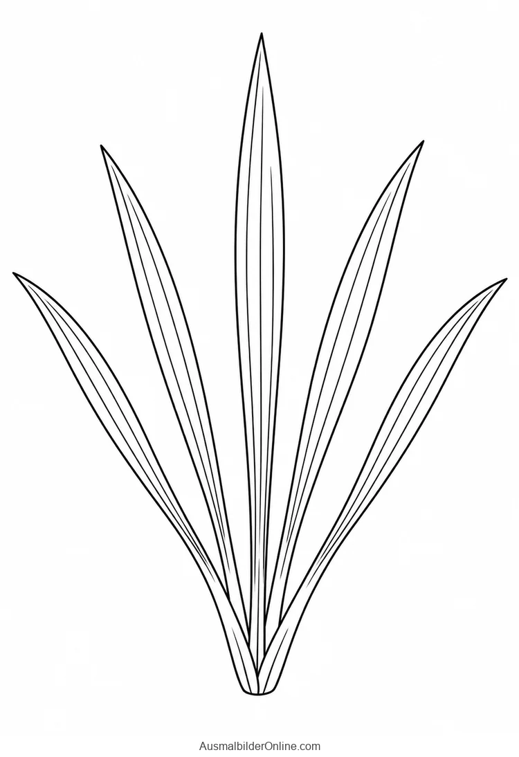 Büschel aus fünf spitz zulaufenden Grashalmen