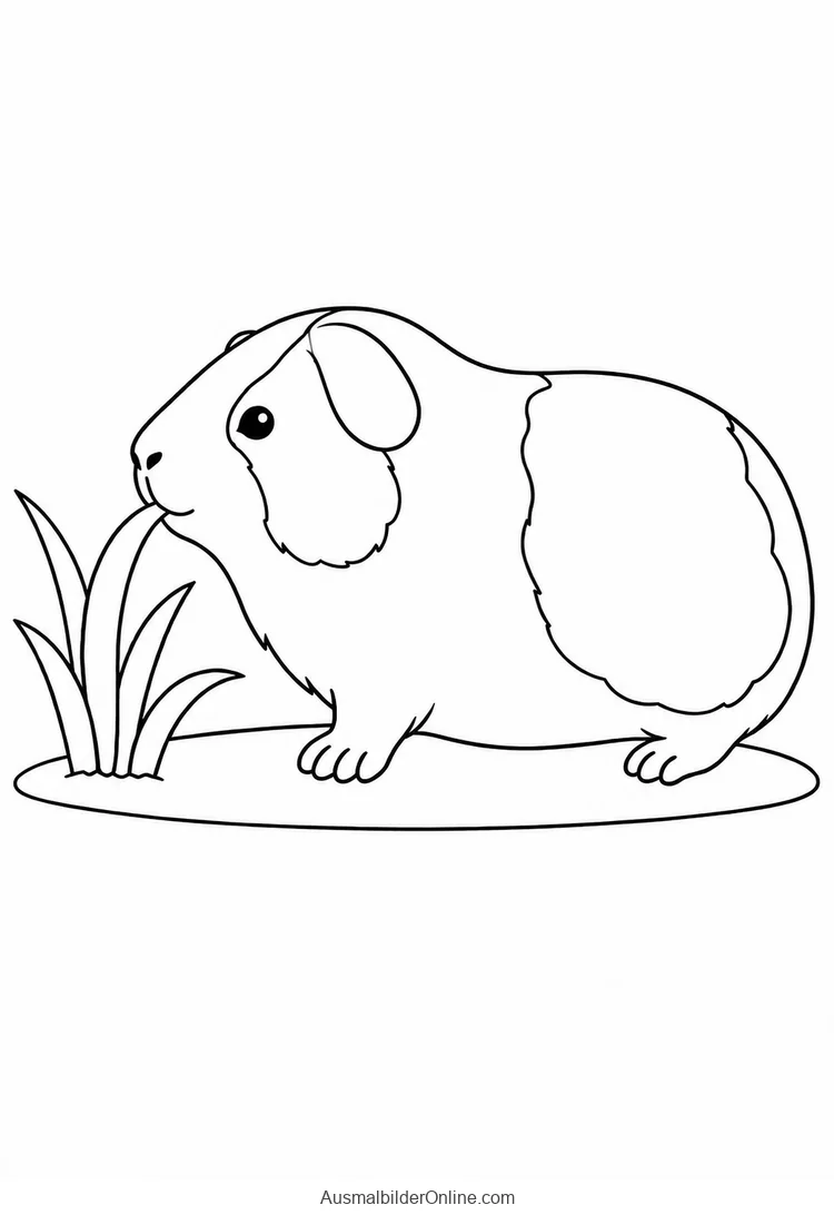 Meerschweinchen knabbert an langen Grashalmen