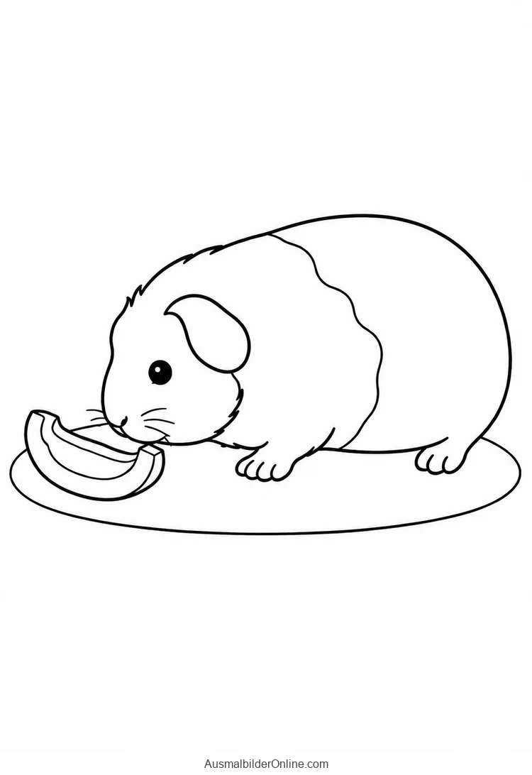 Meerschweinchen beschnuppert ein Stück Paprika
