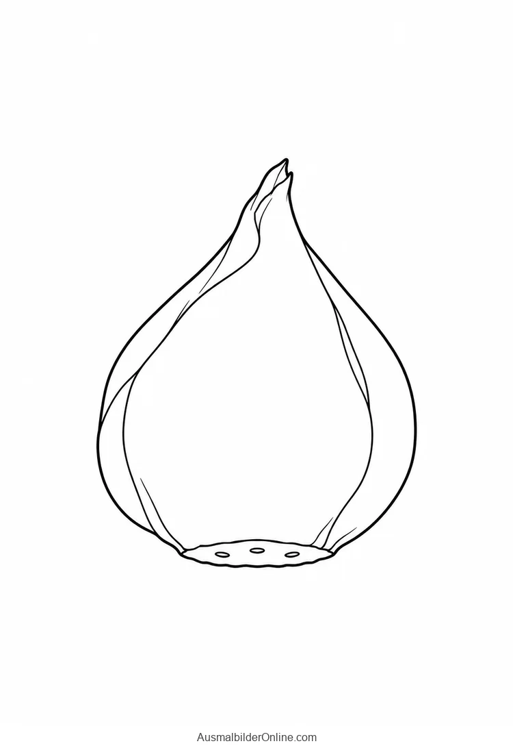 Einzelne ruhende Tulpenzwiebel mit papierartiger Außenhaut