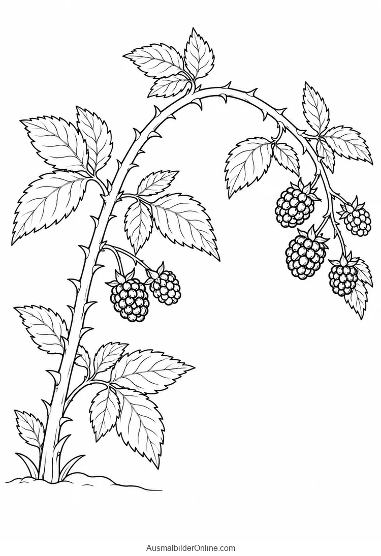 Eine gebogene dornige Brombeerranke trägt Früchte und Blätter
