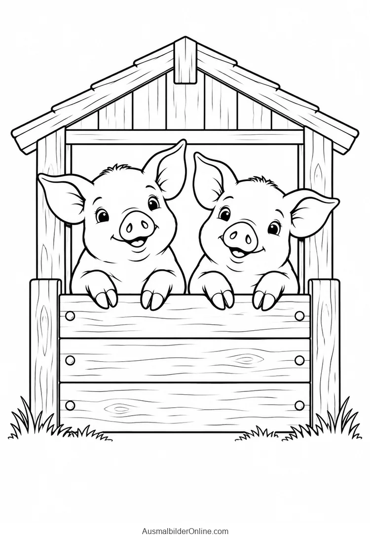 Zwei Ferkel schauen über den niedrigen Rand einer Stalltür.