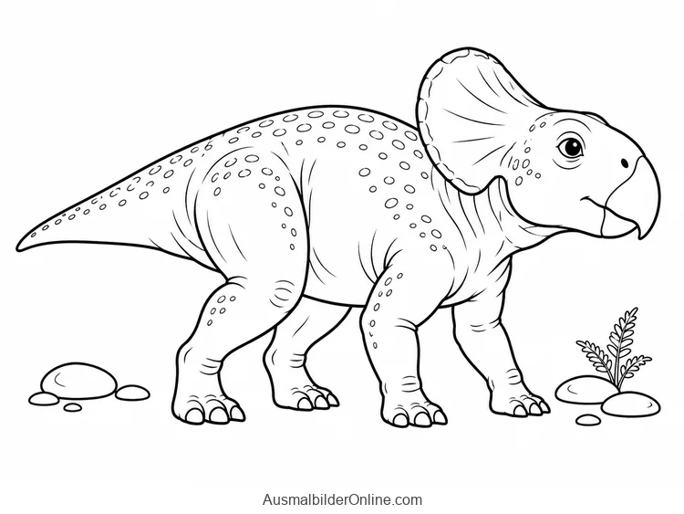 Protoceratops mit kurzem Nackenschild zwischen flachen Kieselsteinen
