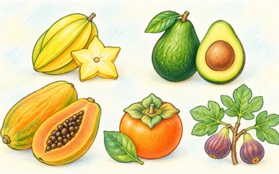 Obst ausmalen: Sternfrucht, Avocado, Papaya und Feigen